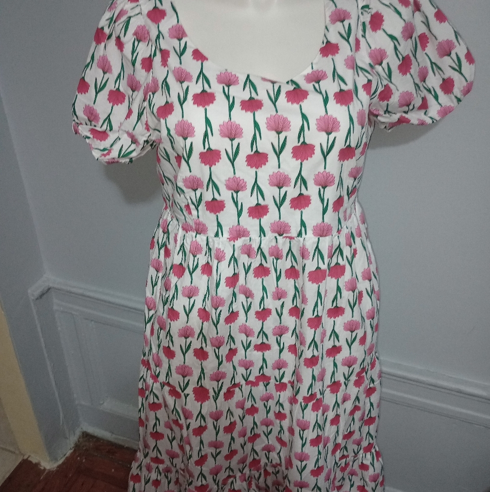 J Crew Dress